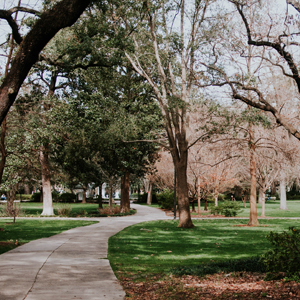 Parks and Landscapes